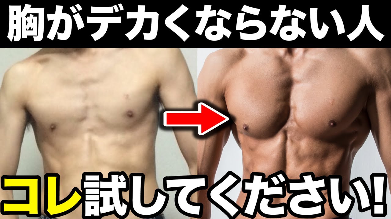 誰でも大胸筋がデカくなる方法をたった10分にまとめました