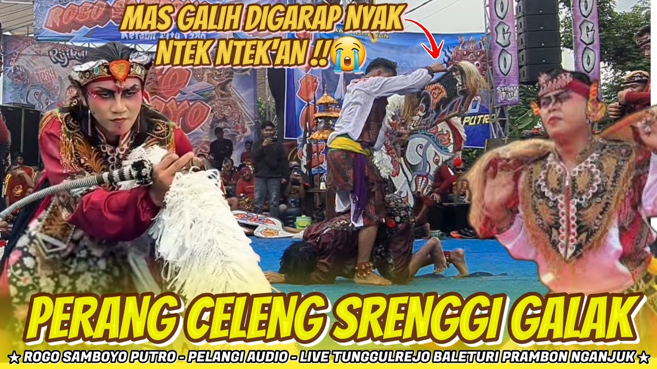 Mas Galih Ndadi Digarap Nyak‼️Perang Celeng ROGO SAMBOYO PUTRO Live Baleturi Prambon Nganjuk