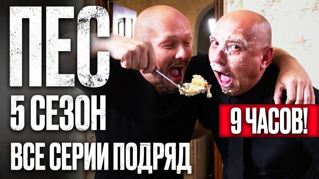 🎬 Сериал ПЕС 5 сезон – Полный 5 СЕЗОН – ВСЕ СЕРИИ ПОДРЯД (11 – 20) | ПЕС 2023 – ЧАСТЬ 2