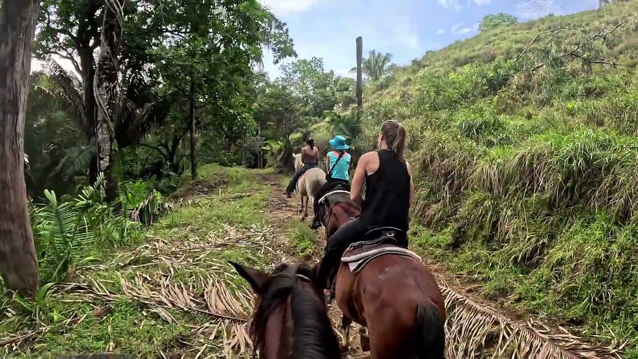 Costa Rica - Horseback Riding with Toro Bravo