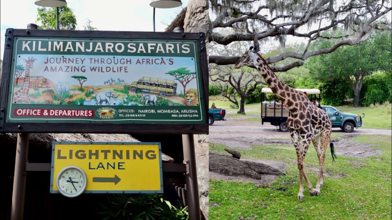 Сафари на Килиманджаро в Disney's Animal Kingdom 2025: полный обзор в 4K | Walt Disney World