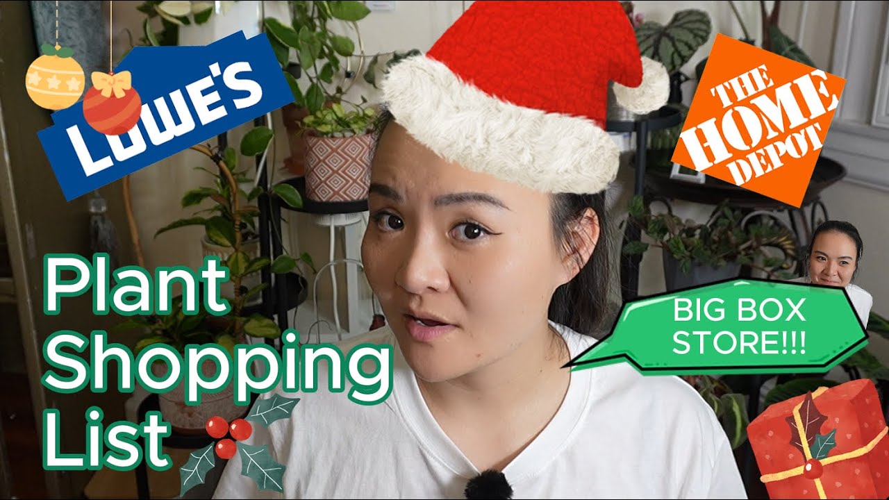 NEW PLANTS at Big Box Store | Rare plants hunt list