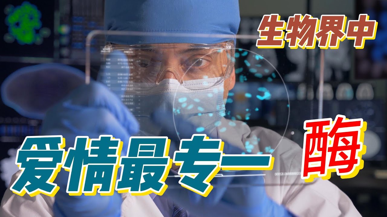 生物界中，爱情最专一的酶