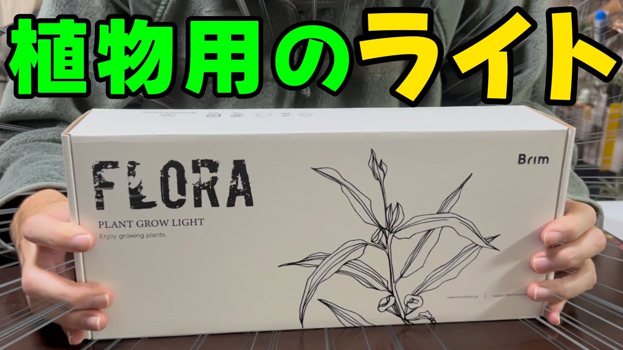 植物用のライト購入！Brim FLORA[植物]