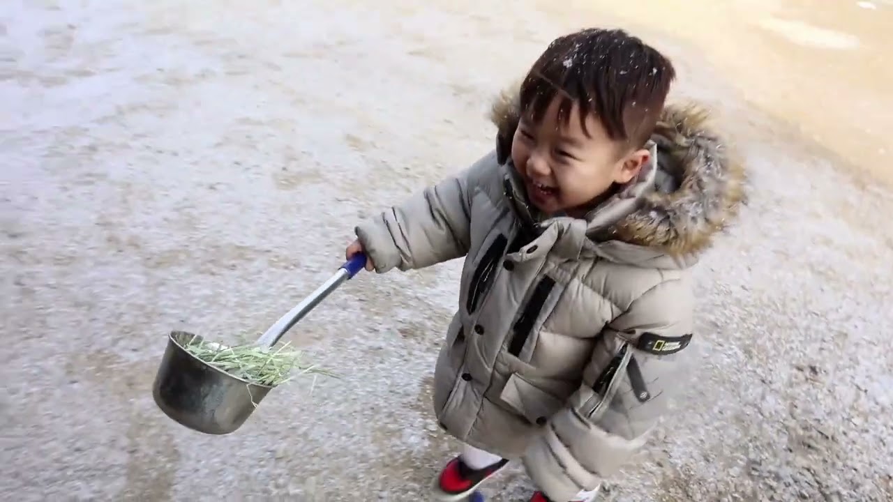 대관령 삼양라운드힐 정상에서 갑자기 눈이?