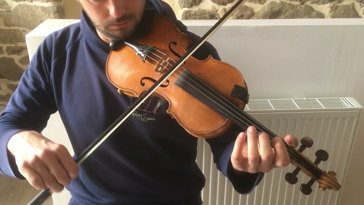 The Old Concertina - Reel