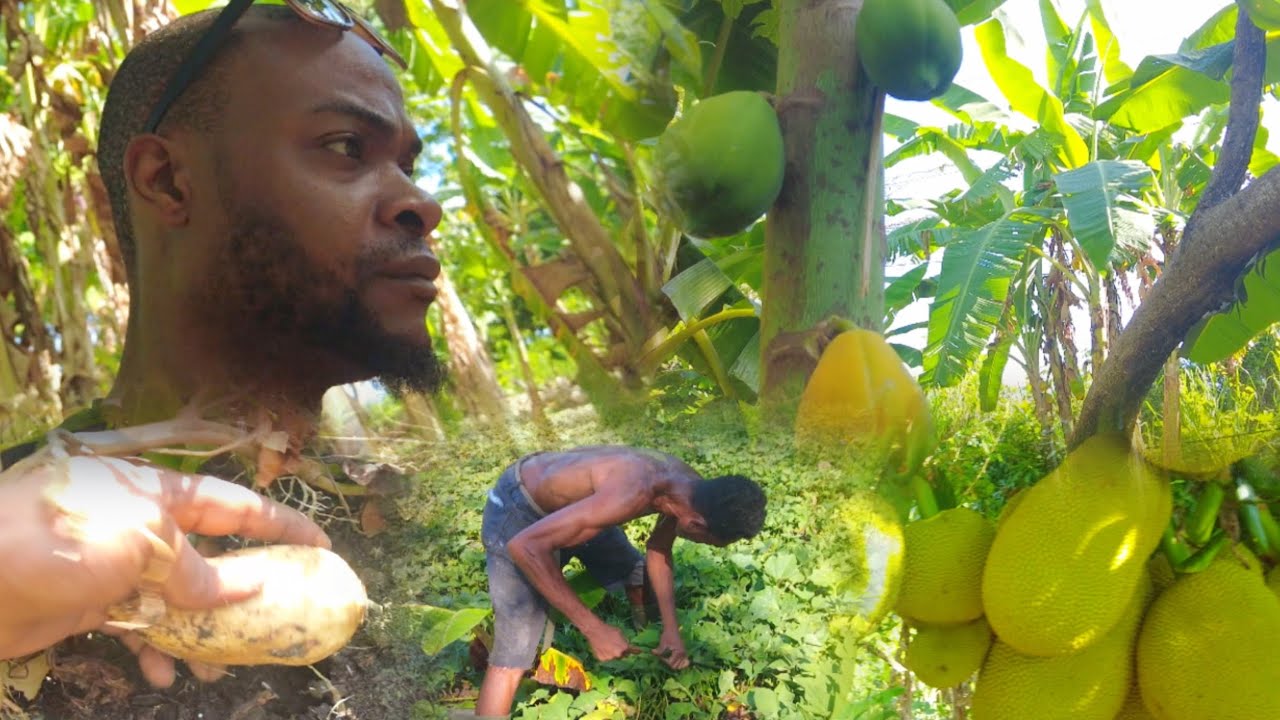 EASY WAY TO SURVIVE | Making Breakfast From The Farm | Eating Fresh Pick Fruit So Amazing 😻!