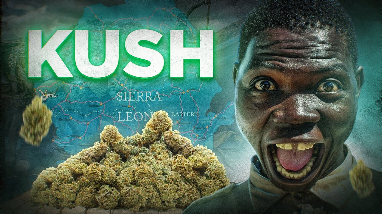 La devastante DROGA sintetica che sta piegando l'Africa (e potrebbe arrivare in Europa)