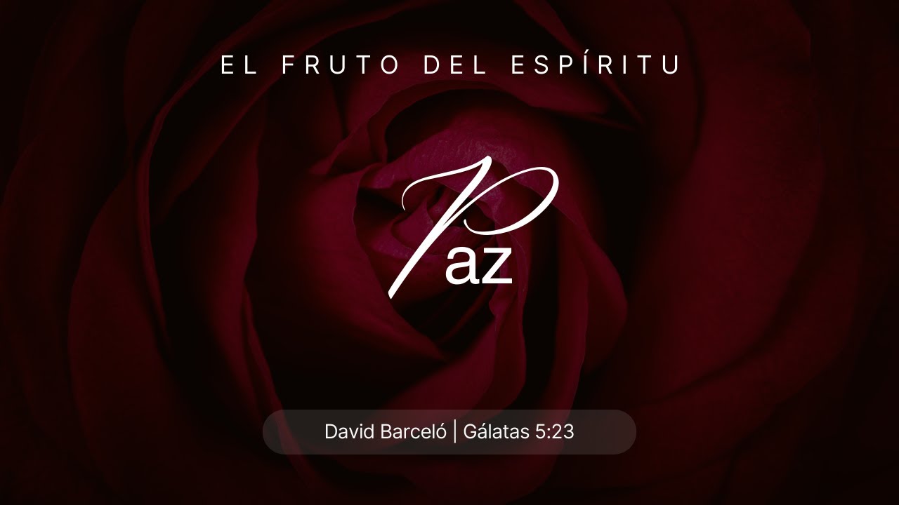 Paz - David Barceló