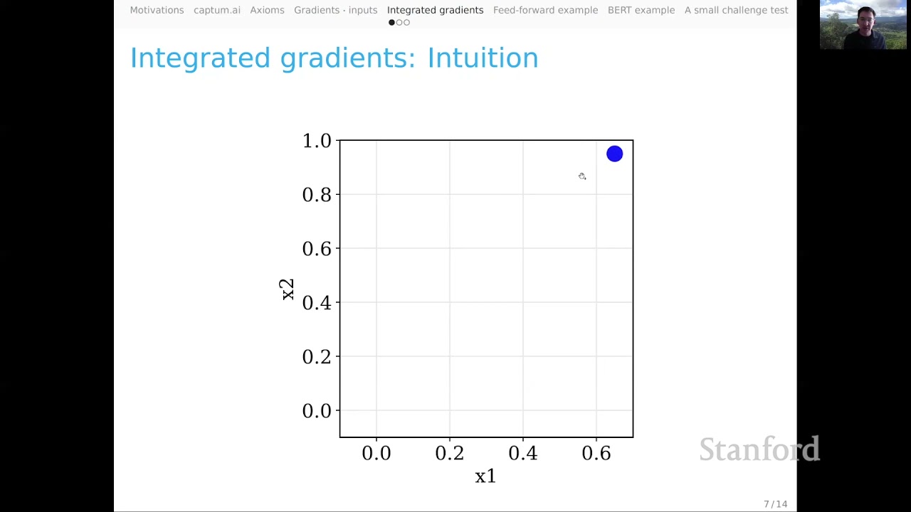 Feature Attribution | Stanford CS224U Natural Language Understanding | Spring 2021