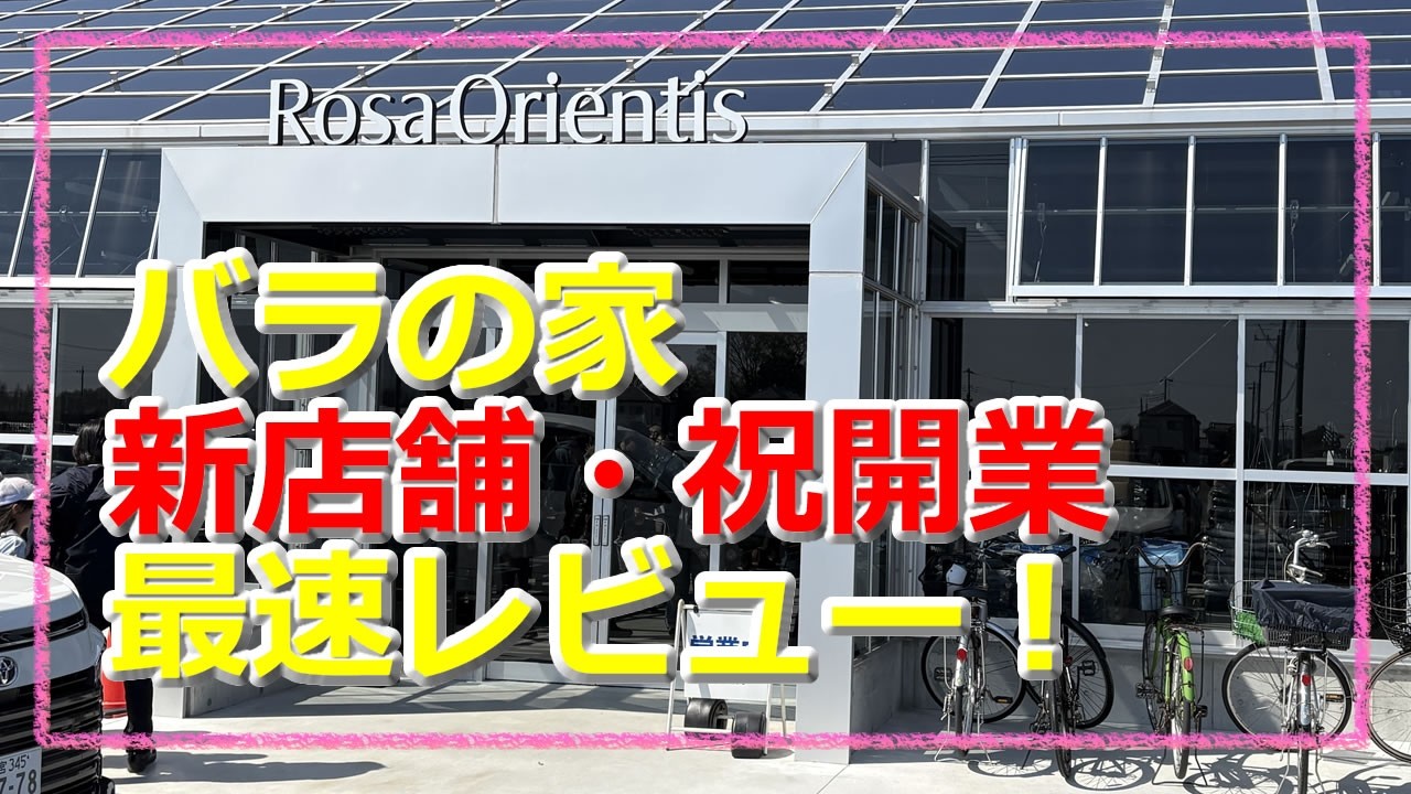 祝オープン！バラの家新店舗・最速レビュー！