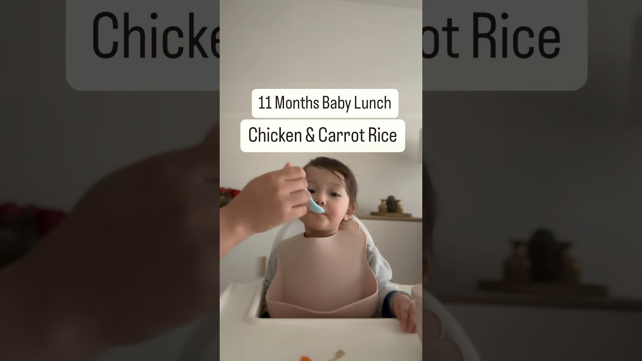 Chicken and Carrot Rice for Babies | 11 Months old #babyfood #babyfoodideas #healthybabyfood