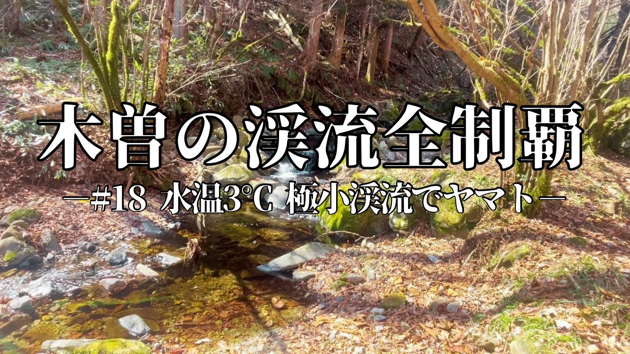 【木曽の渓流全制覇 #18】水温3℃の極寒渓流…最後の最後でヤマトイワナ