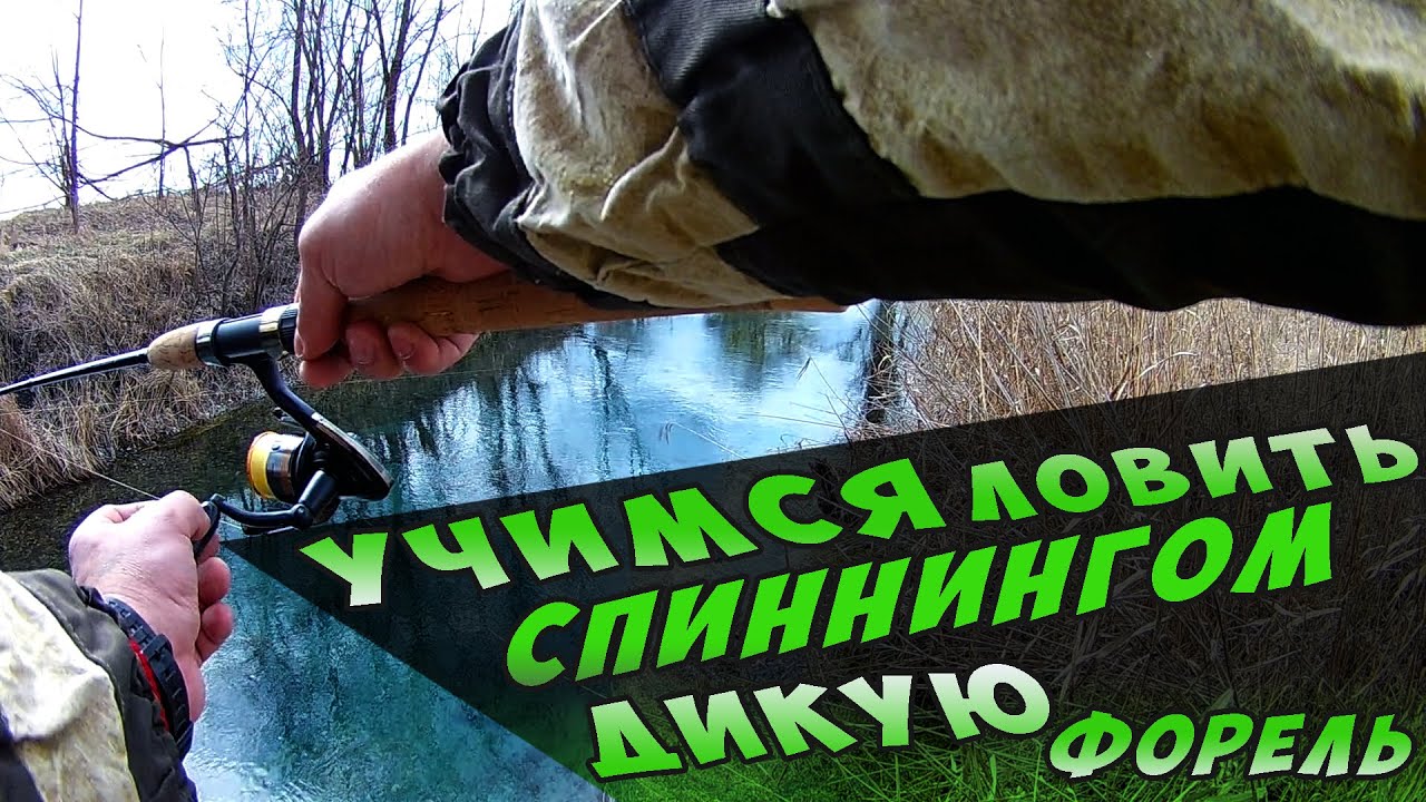 УЧИМСЯ ЛОВИТЬ СПИННИНГОМ , ДИКУЮ ФОРЕЛЬ НА РУЧЬЕ С РОДНИКА ! (Северная Осетия )!