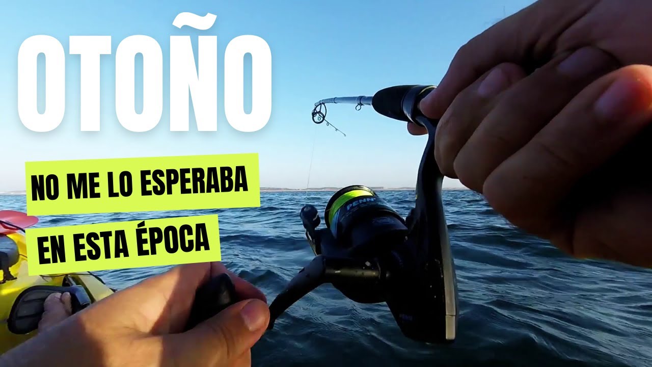 💯NO PARAN DE PICAR (PESCA EN KAYAK) 🔥🔥🔥