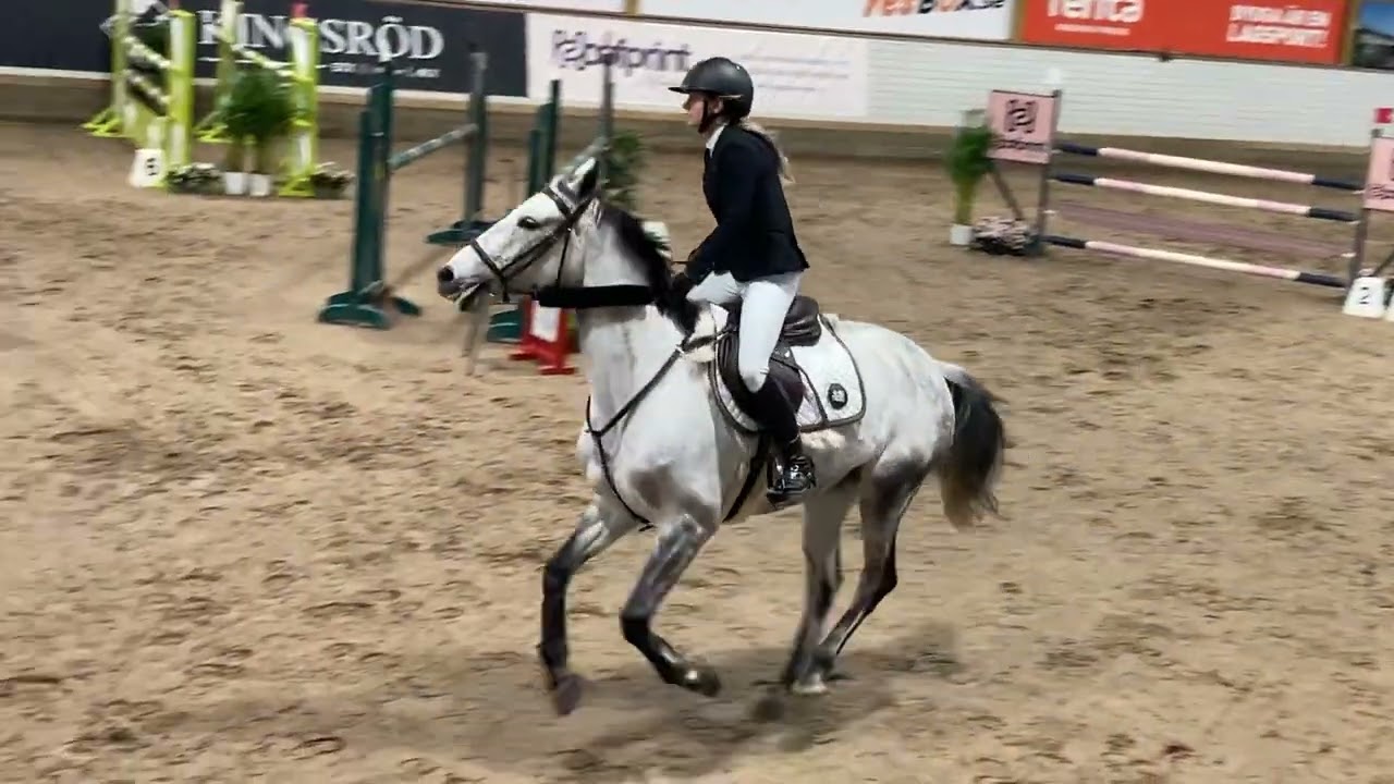Kaleia Star, Kungsbacka GP, 2026-03-08. 120 cm, 0 fel, vinst! 