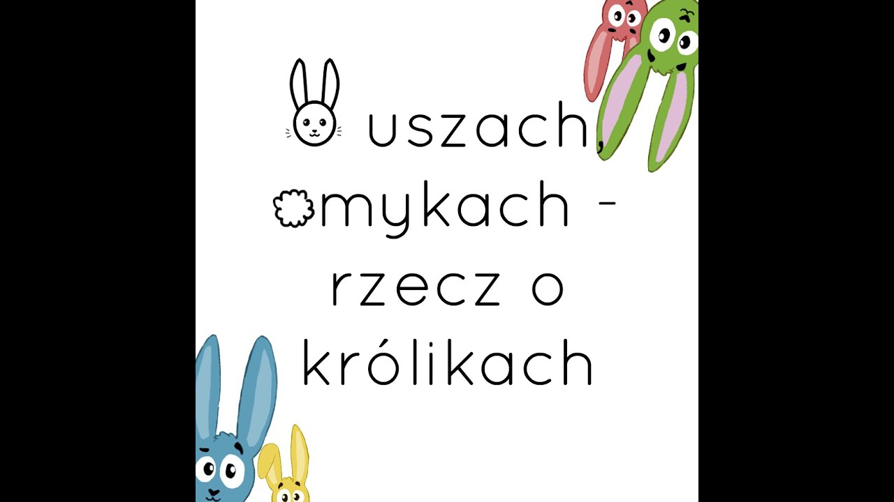 Odcinek V Wizyta z królikiem u lekarza weterynarii co właściciel wiedzieć powinien