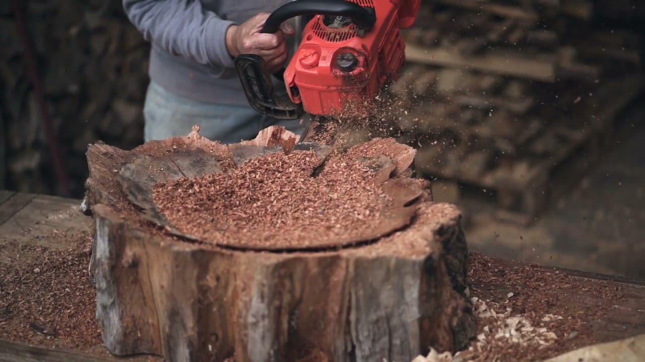 Wood Sculpture Course w/ Kerstin Thomas & Renato Costa e Silva I Curso de Escultura em Madeira