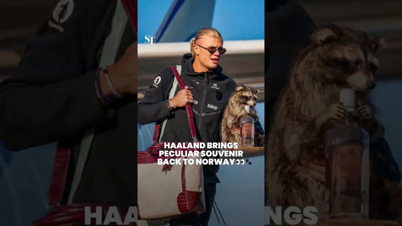 Norway&rsquo;s Haaland returns home with unusual World Cup souvenir 👀🐾