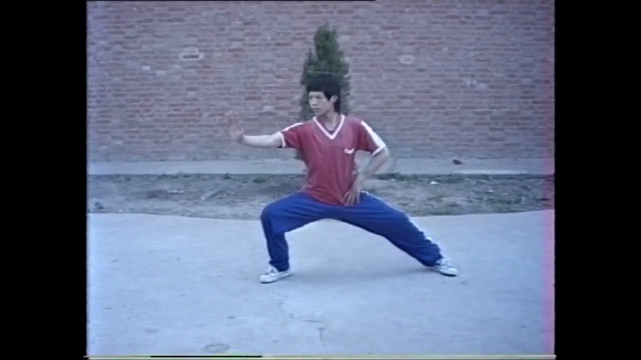 Chen Style Taijiquan - Wang Zhanjun