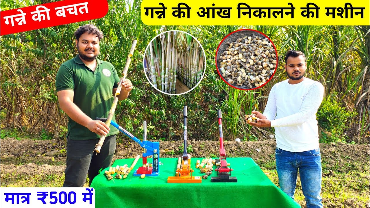 Sugarcane Bud Cutter Machine |गन्ने की आंख निकालने की मशीन घर बैठे खरीदे| #BudCutter price in india