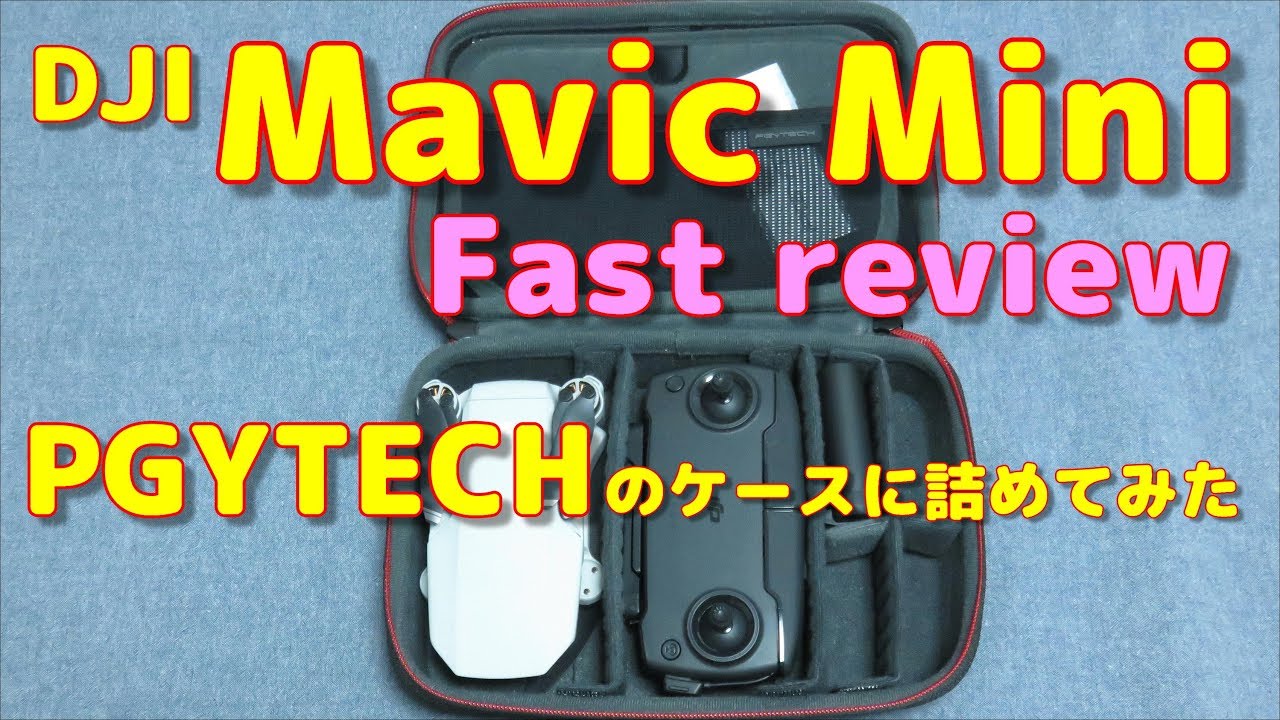 【Mavic mini】  2.7Kカメラ搭載の199gドローン！