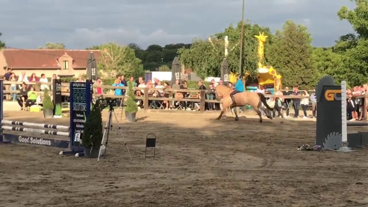 Jumping zellik riding club a cru