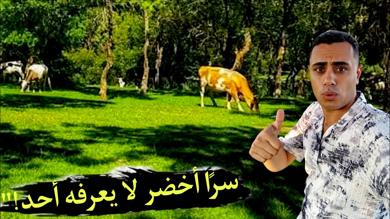 كمصري مصدوم.. هذا المكان في الجزائر لا يشبه أي مدينة رأيتها من قبل!ما ستراه هنا سيغيّر نظرتك للجزائر