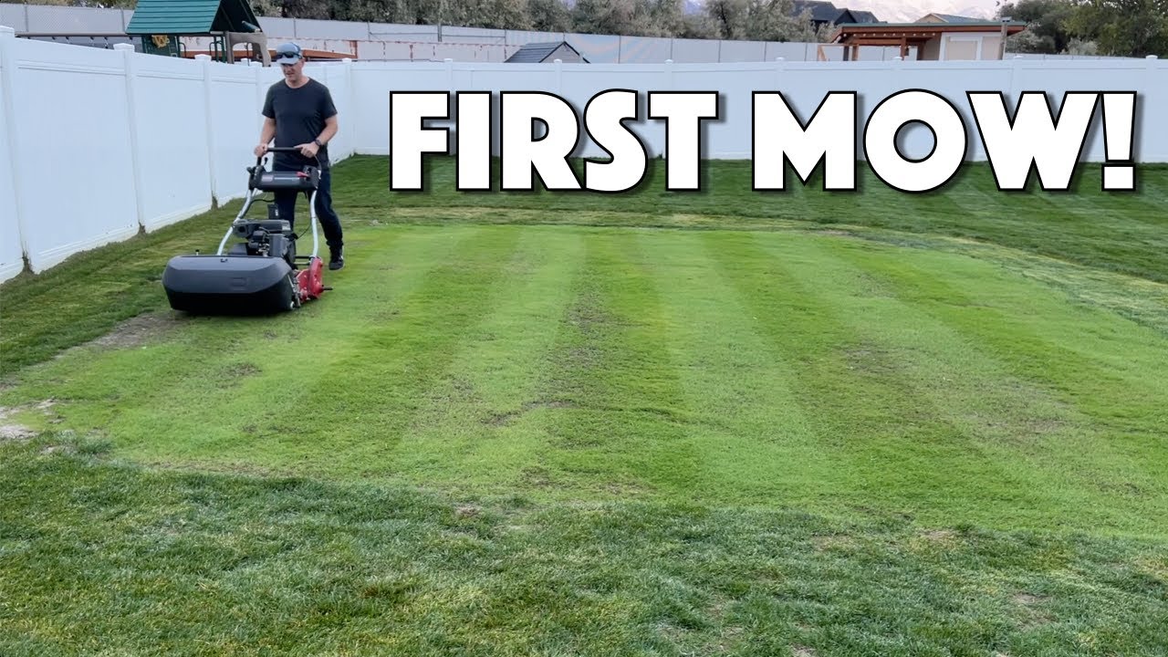 Mowing My PUTTING GREEN For the FIRST TIME!!!