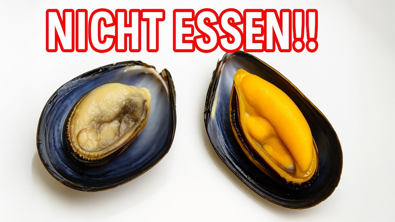 Miesmuscheln richtig prüfen: 3 sichere Methoden + wichtige Profi-Tipps!