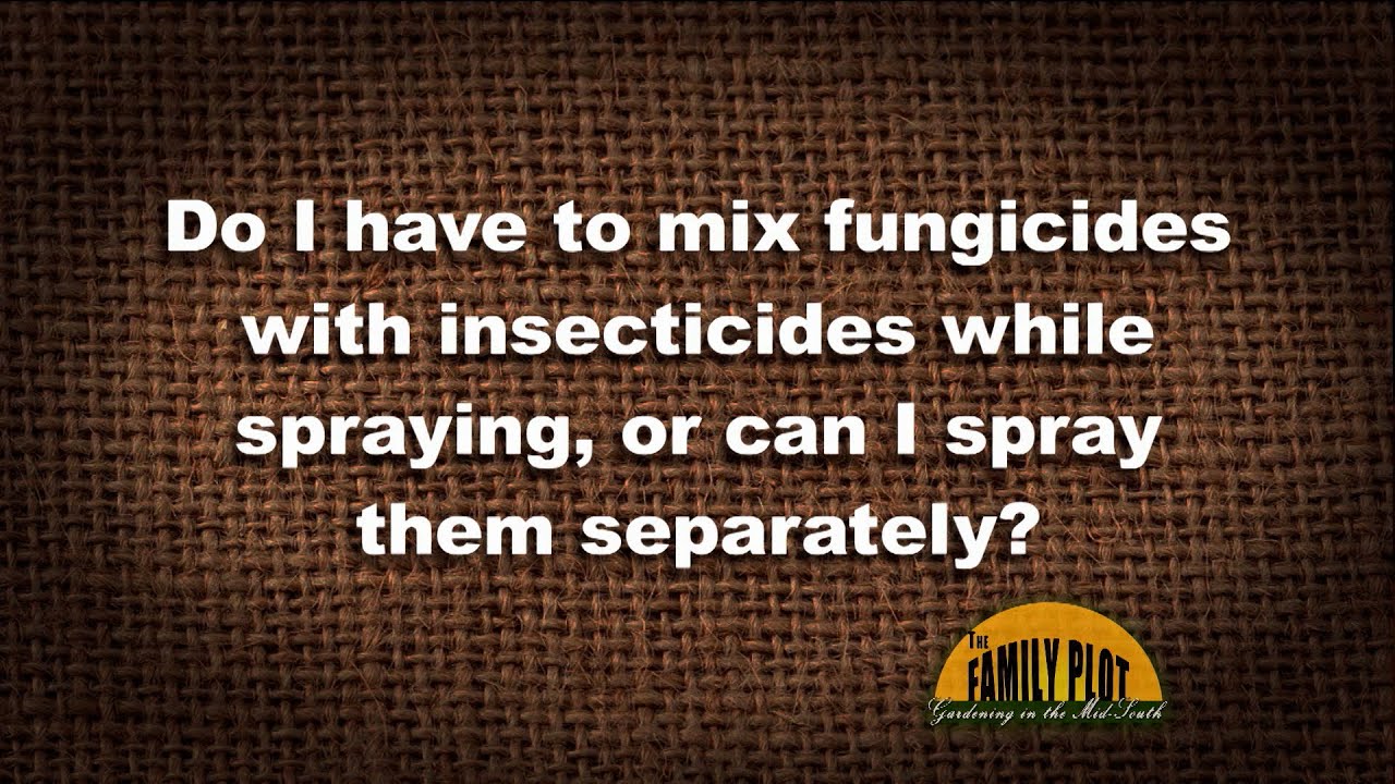Q&A - Do I have to mix fungicides and insecticides when spraying?