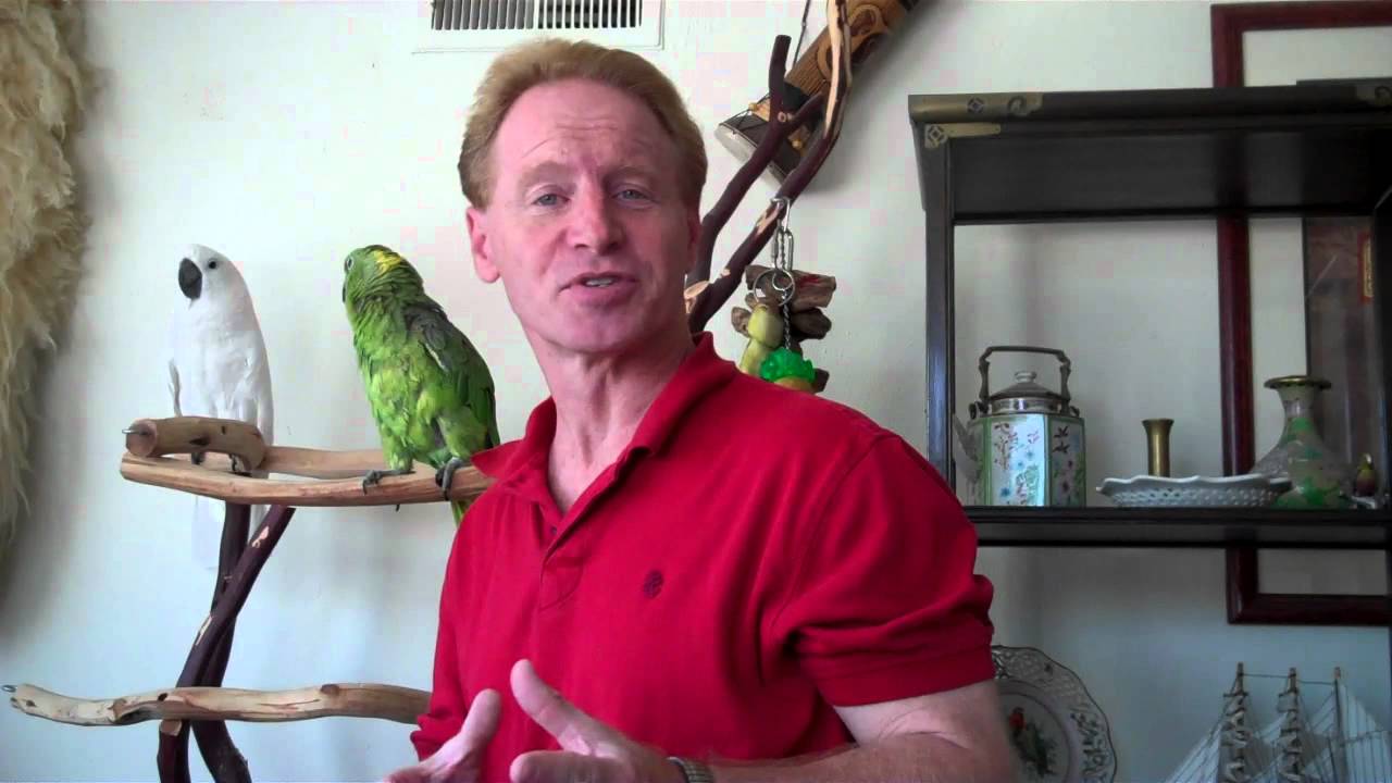 ANIMAL RESCUE - NOT JUST DOGS AND CATS