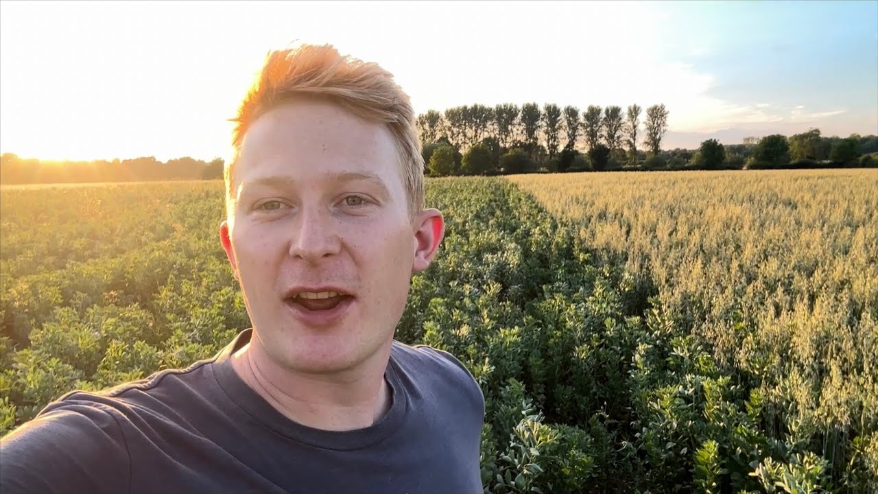 BenAdamsAgri - Hoes and Drought - Intercropping and Undersowing