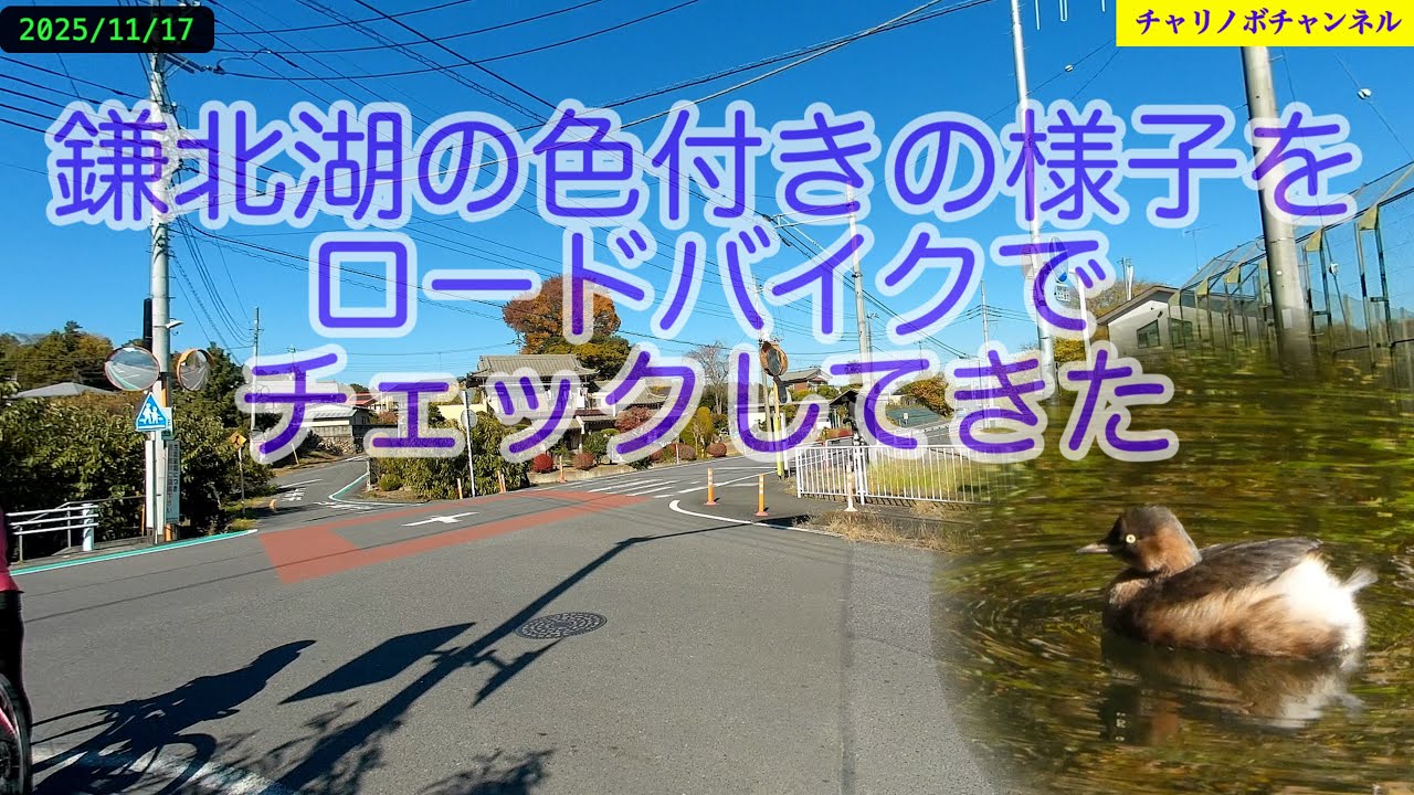 25L05鎌北湖の色付きは最高だった