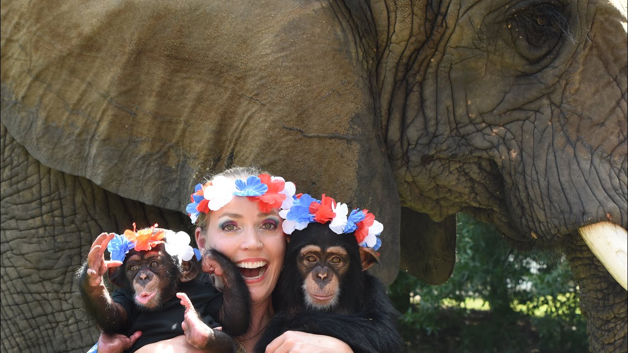 4th of July at the Myrtle Beach Safari