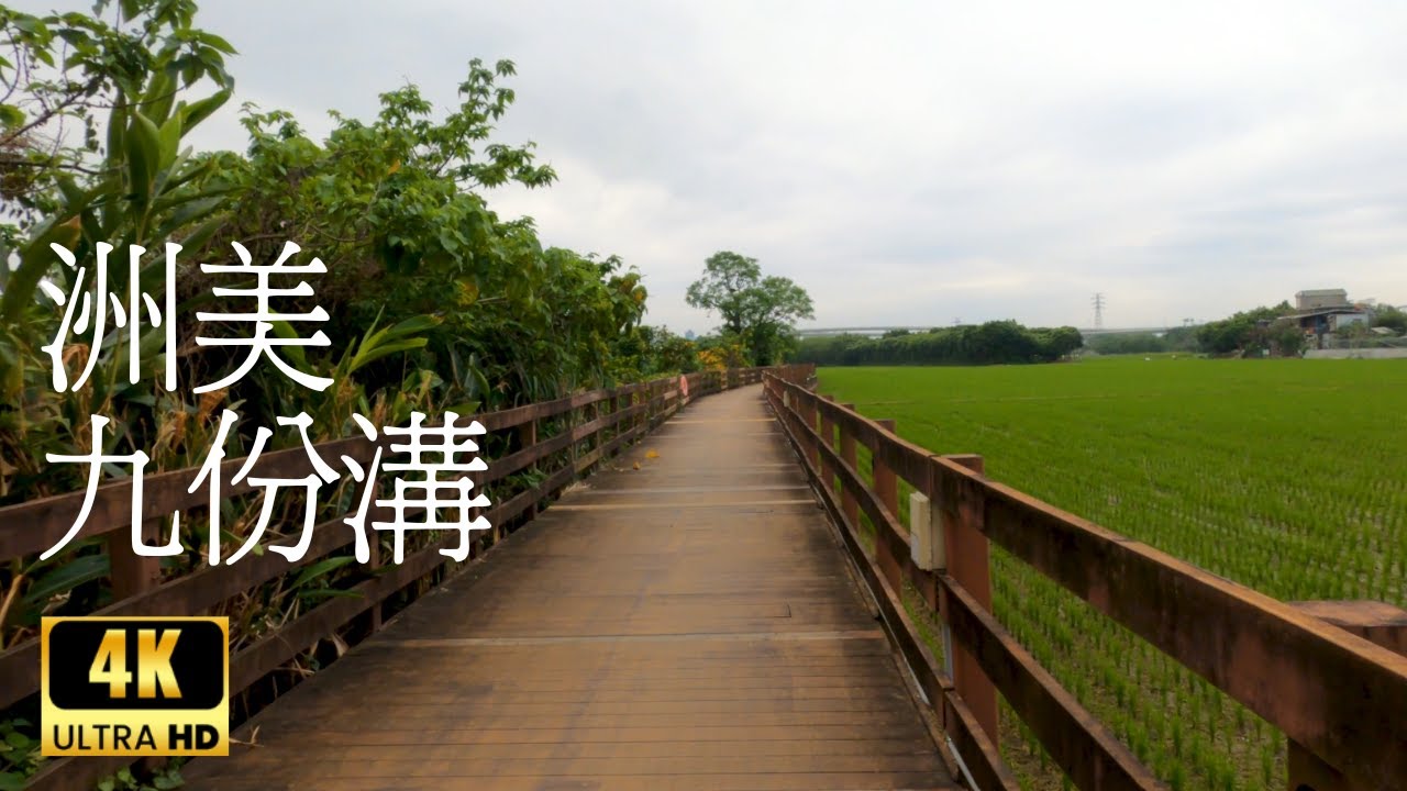 Peaceful Rice Farm Walk | Virtual Taiwan Tour | Nature Ambience Relaxation | POV 4K UHD | Travel