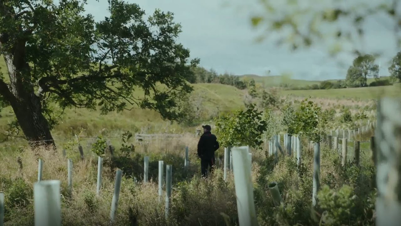 Wilder Wallington - the story so far.