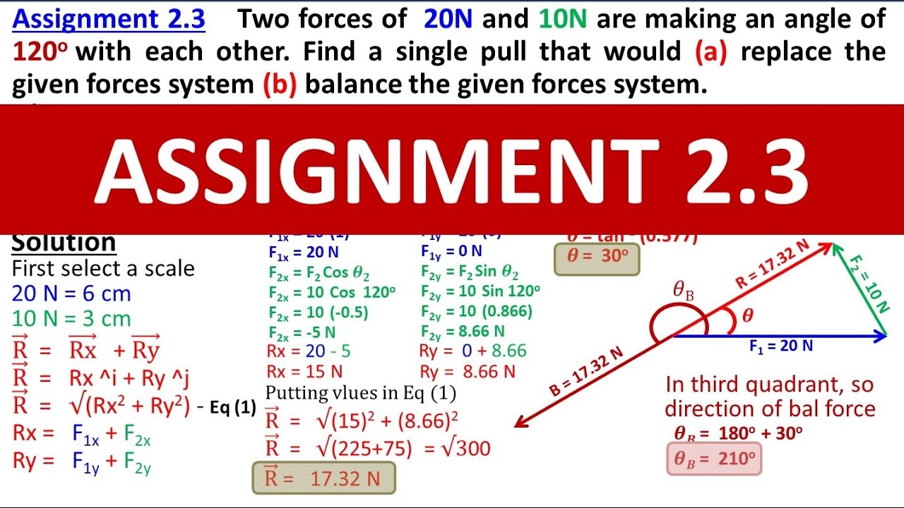 Assignment 2.3 Class 11 Physics Chapter 2 Vectors and Equilibrium | Study with Me | Animated Lecture