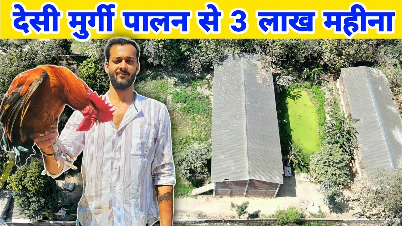 युवा ने जाॅब छोड़कर शुरू किया मुर्गी पालन | Poultry farming | Poultry farmer