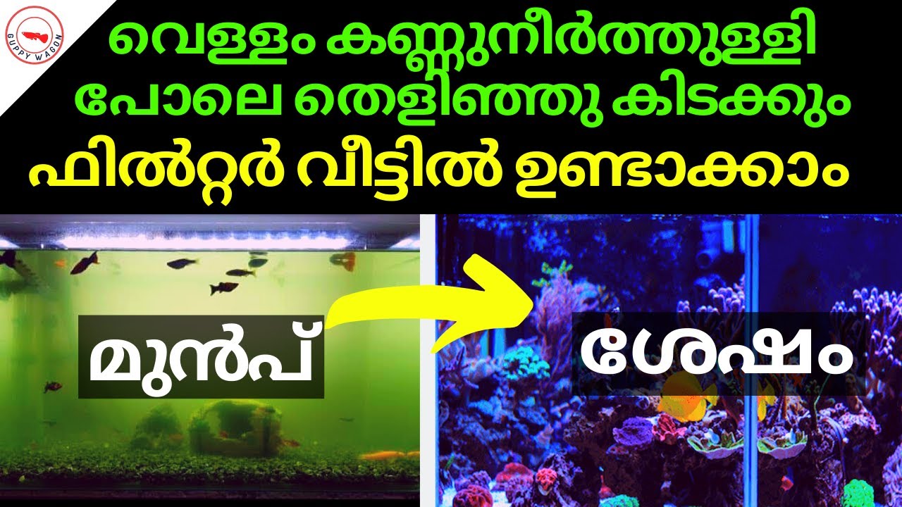 വെള്ളം കണ്ണുനീർത്തുള്ളി പോലെ തെളിഞ്ഞു കിടക്കും ഫിൽറ്റർ വീട്ടിൽ ഉണ്ടാക്കാം|The Best Simple DIY Filter