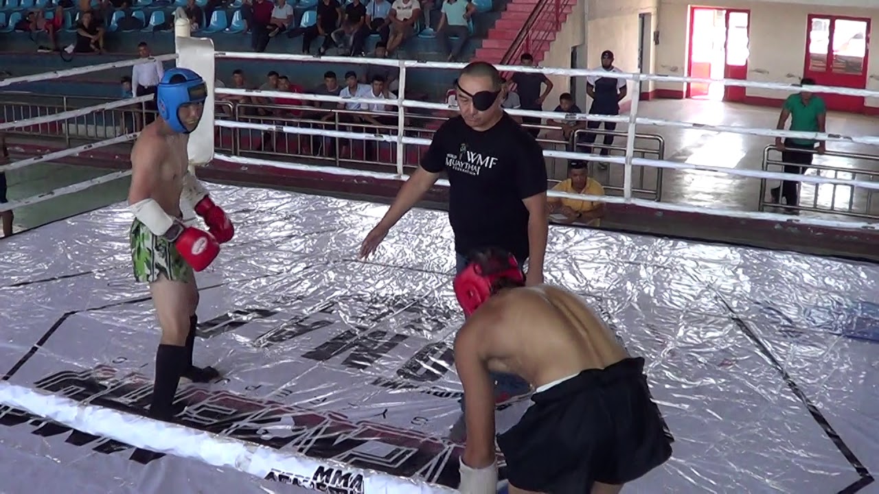 Трубчанинов Евгений(White Wolf)второй бой wmf-проам 2017