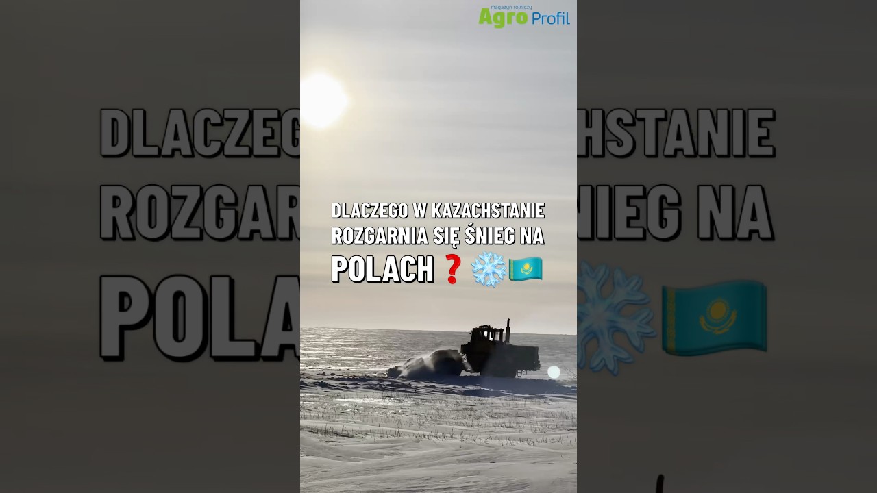 Zimą na stepach rozgarniają śnieg. Pow&oacute;d cię zaskoczy!