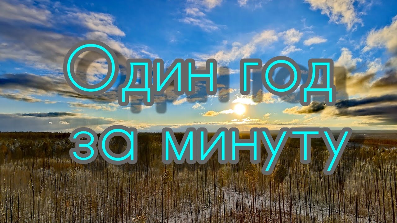 Как прошёл год. Времена года за минуту.