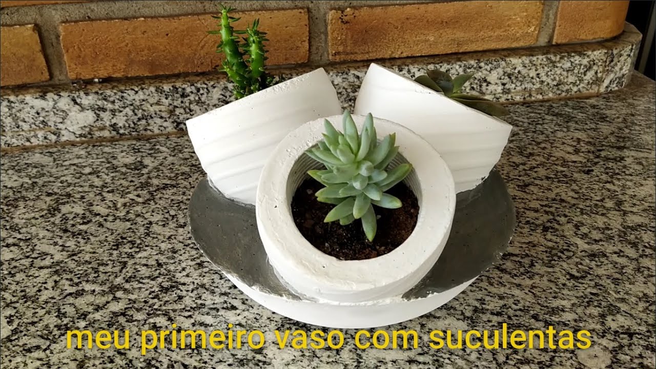LINDO MINI VASO TRIPLO PARA SUCULENTAS COM BASE DE GARRAFA PET, MINHAS PRIMEIRAS SUCULENTAS