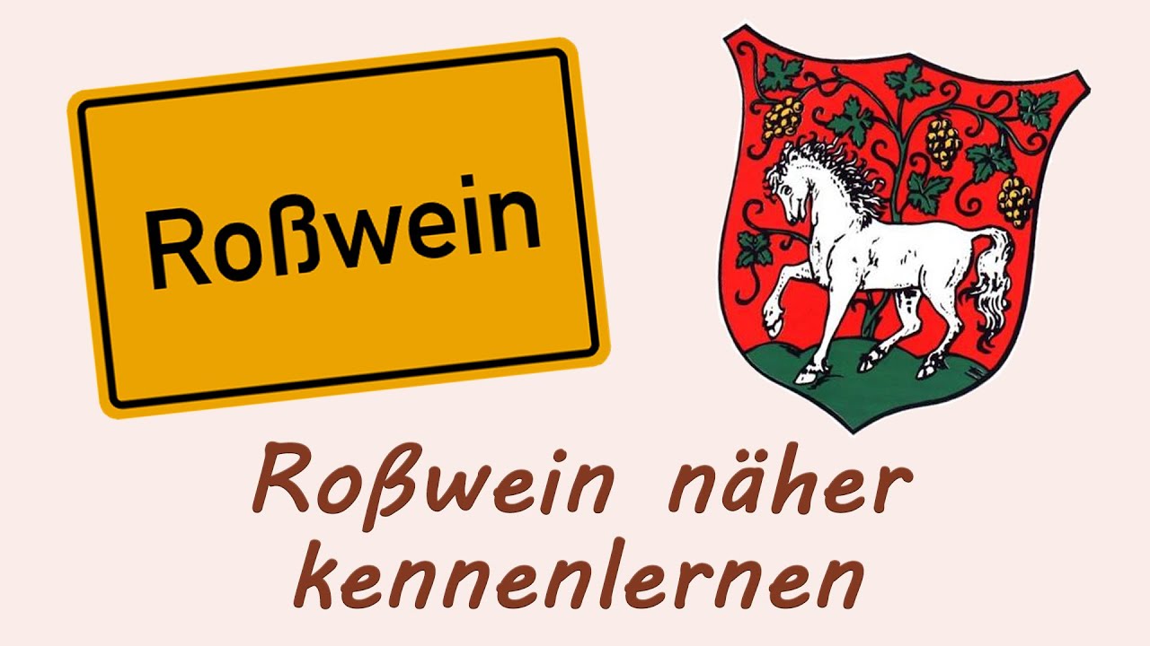Ro&szlig;wein n&auml;her kennenlernen | 2023 | Praktikum bei Spektrum3000