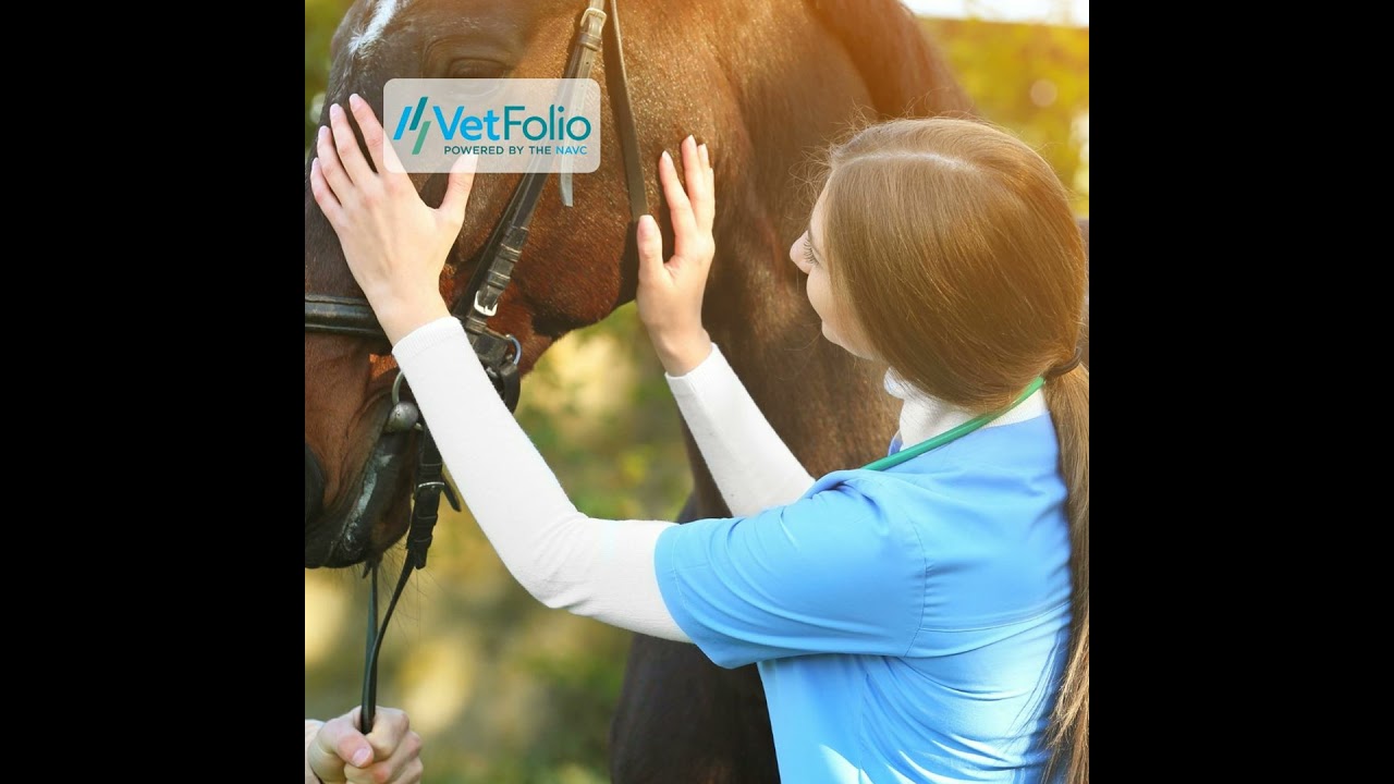 Great and Small: A Day in the Life of a Mixed Animal Practitioner