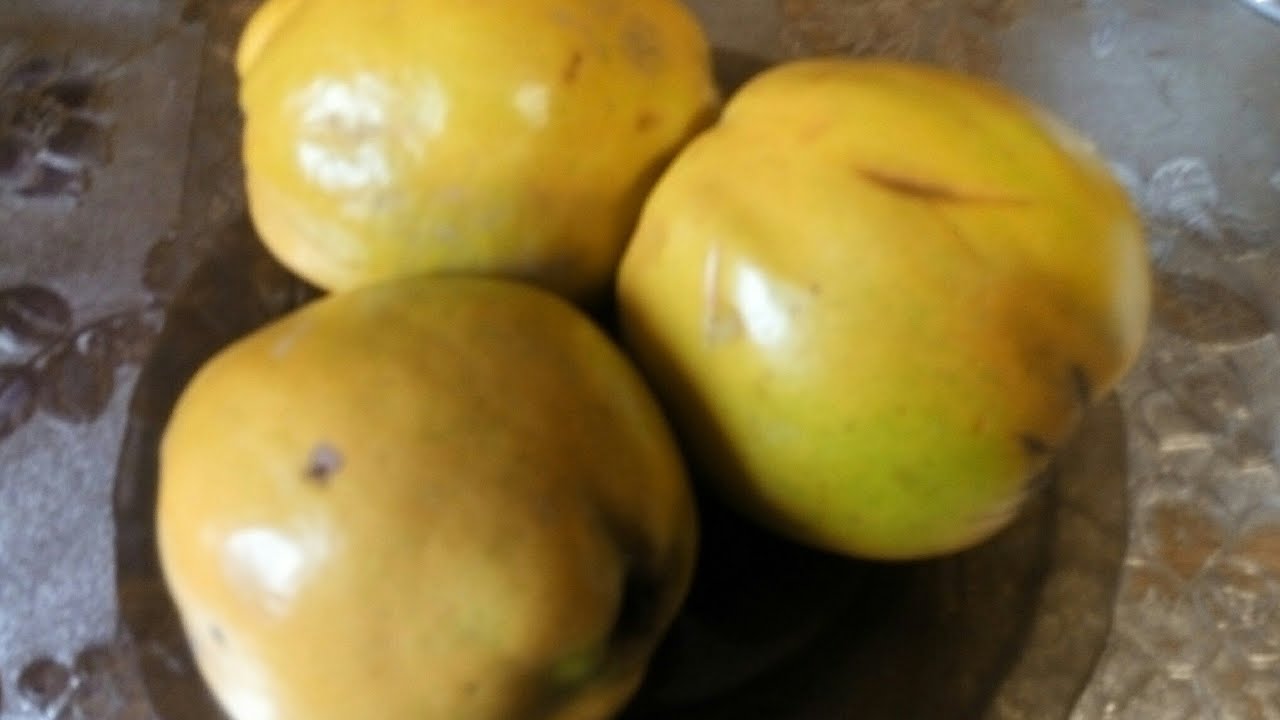 Что такое АЙВА.ПОЛЕЗНЫЕ СВОЙСТВА и и как ее можно есть.