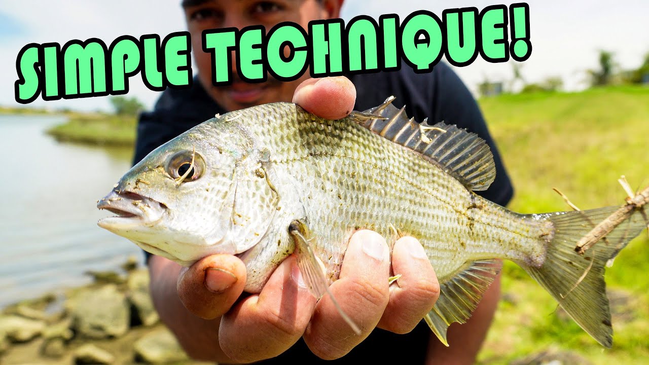 Secret to Catching BREAM in MELBOURNE!
