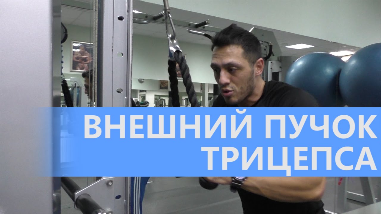 трицепс