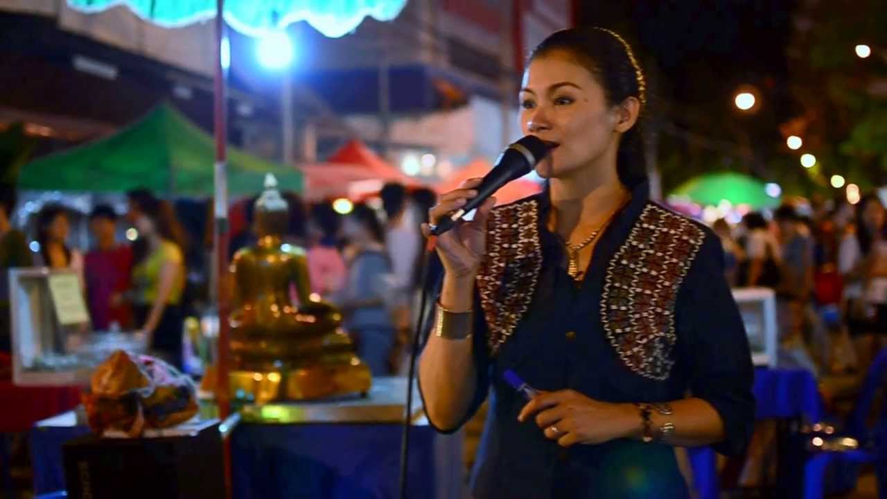 ไม้เมือง - กุหลาบเวียงพิงค์